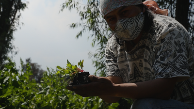 This is Xochimilco: the pre-Hispanic waters that feed Mexico City