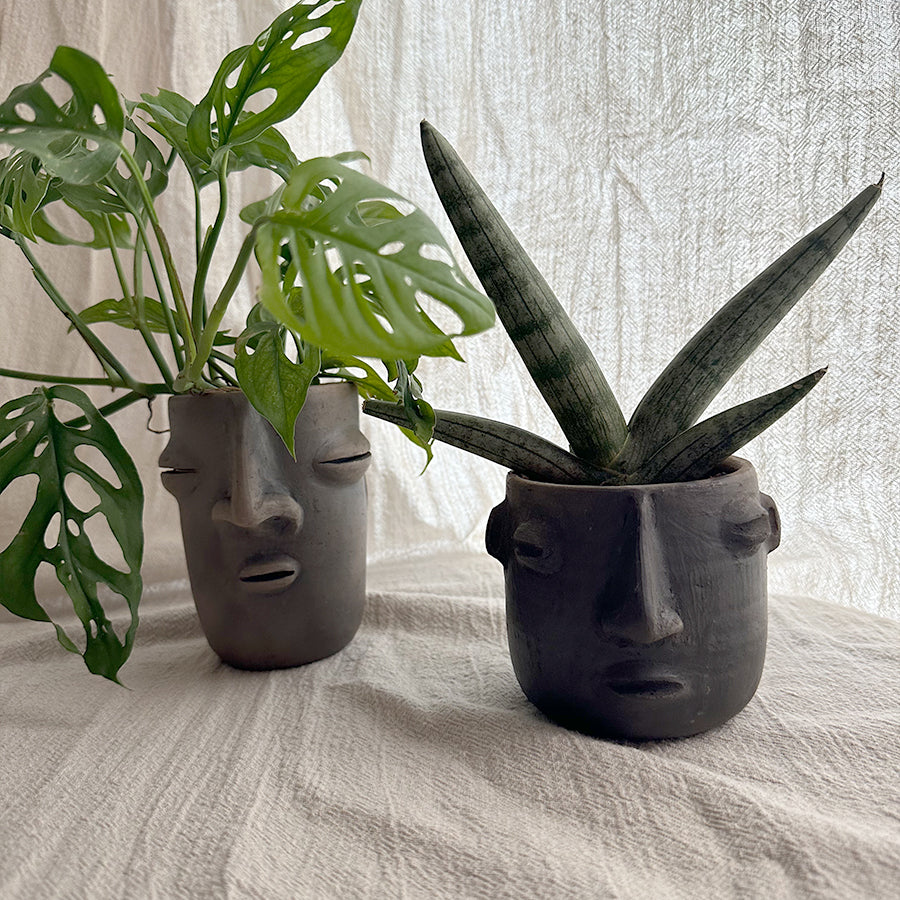 The Oaxacan Duo: Face Planters Kit