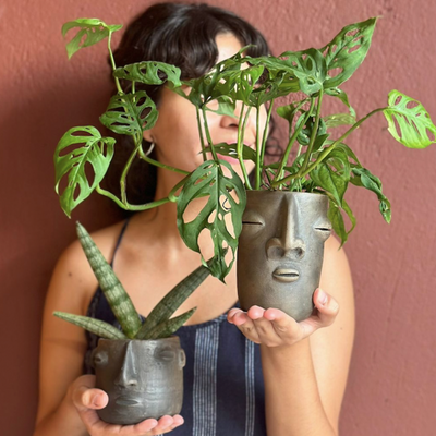 The Oaxacan Duo: Face Planters Kit