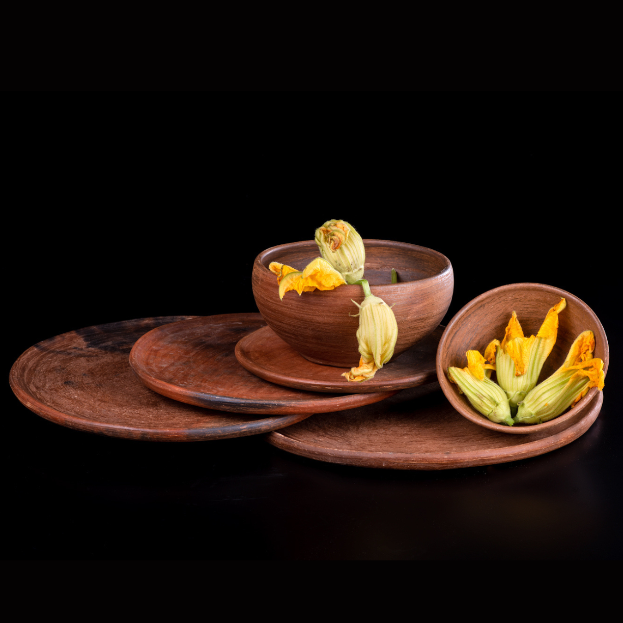 Copper Dinnerware Plates