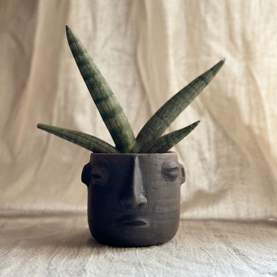 The Oaxacan Duo: Face Planters Kit