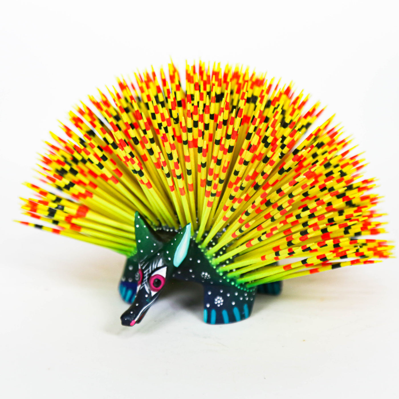 Multicolor Hedgehod