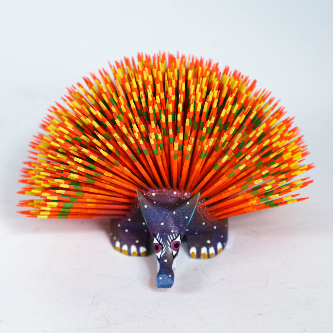 Multicolor Hedgehod