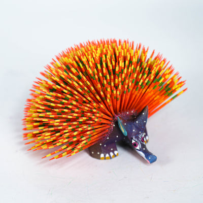 Multicolor Hedgehod