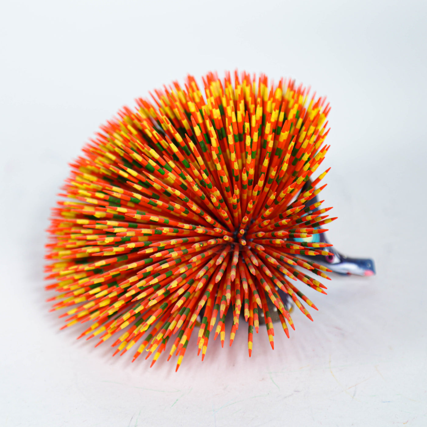 Multicolor Hedgehod