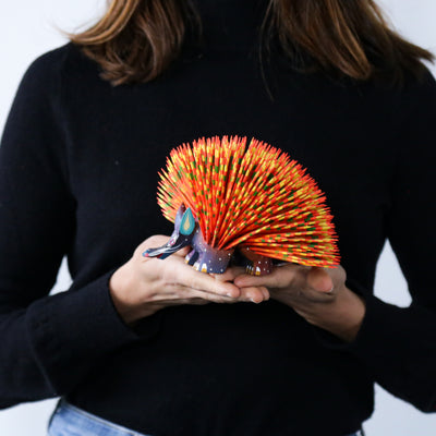 Multicolor Hedgehod