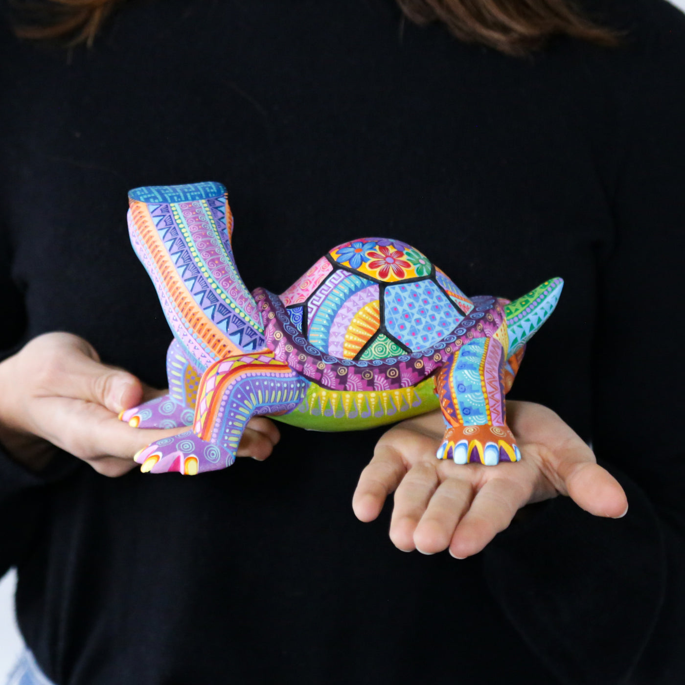 Alebrije Turtle