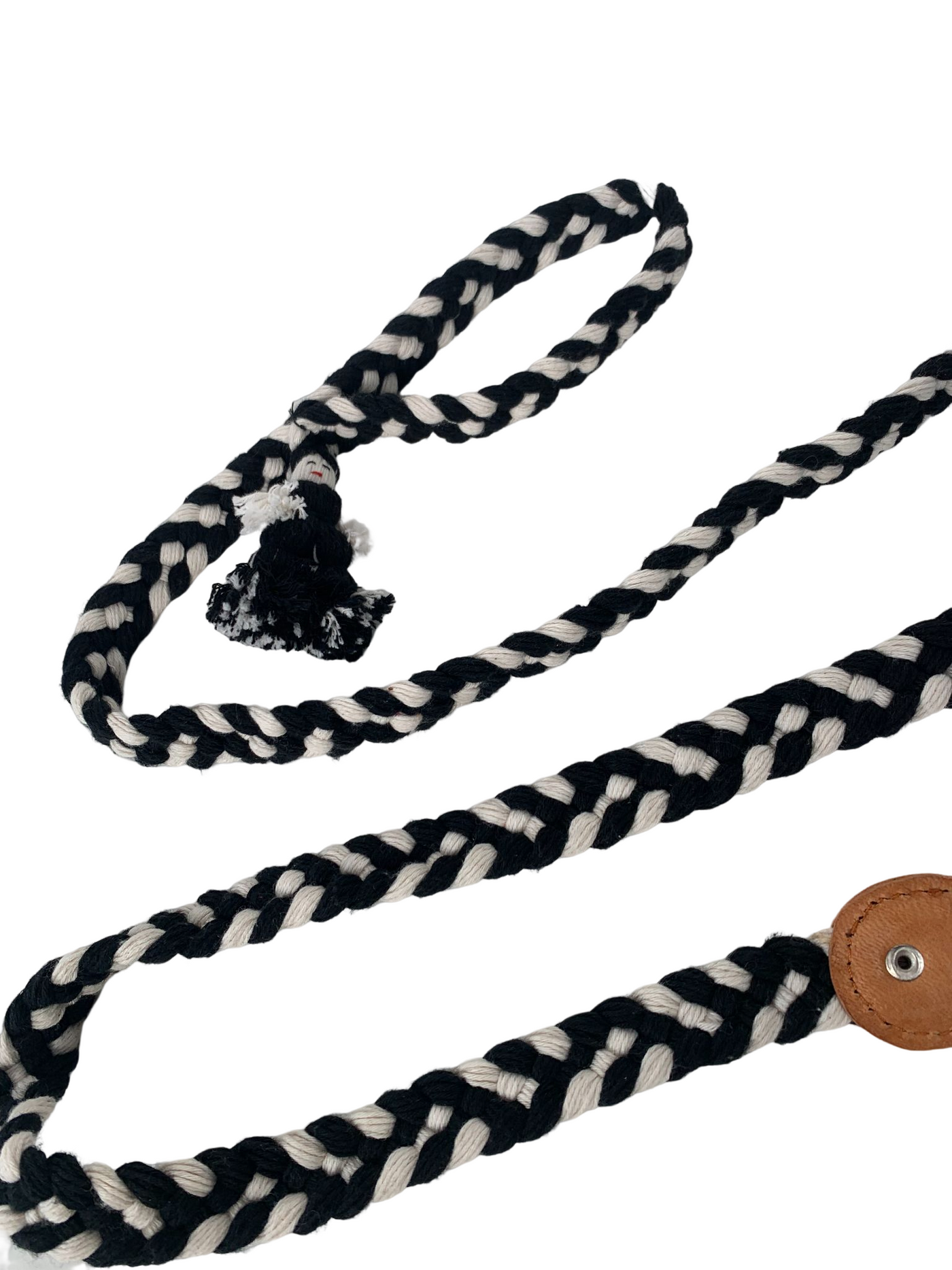 Braided Dog leash