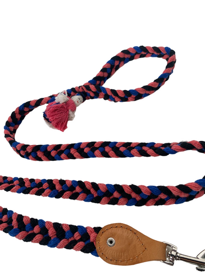 Braided Dog leash