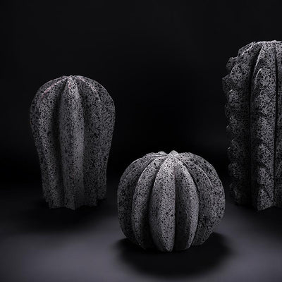 Volcanic Cactus Set