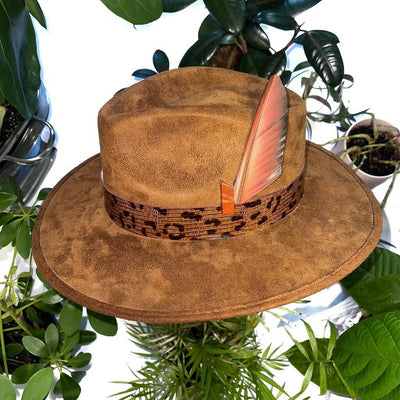 Tawny Brown Suede Hat